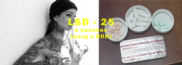 крисы Алексин