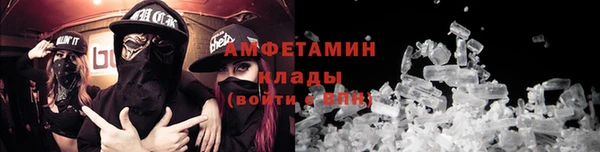 крисы Алексин