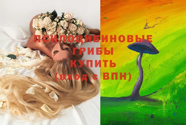 крисы Алексин
