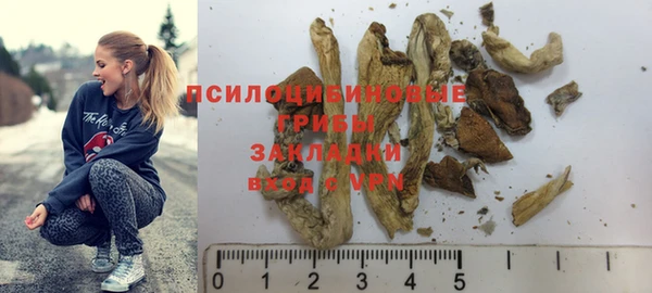 крисы Алексин